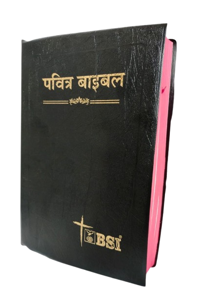 Bible Hindi