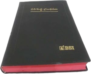 Small - Bible Telugu